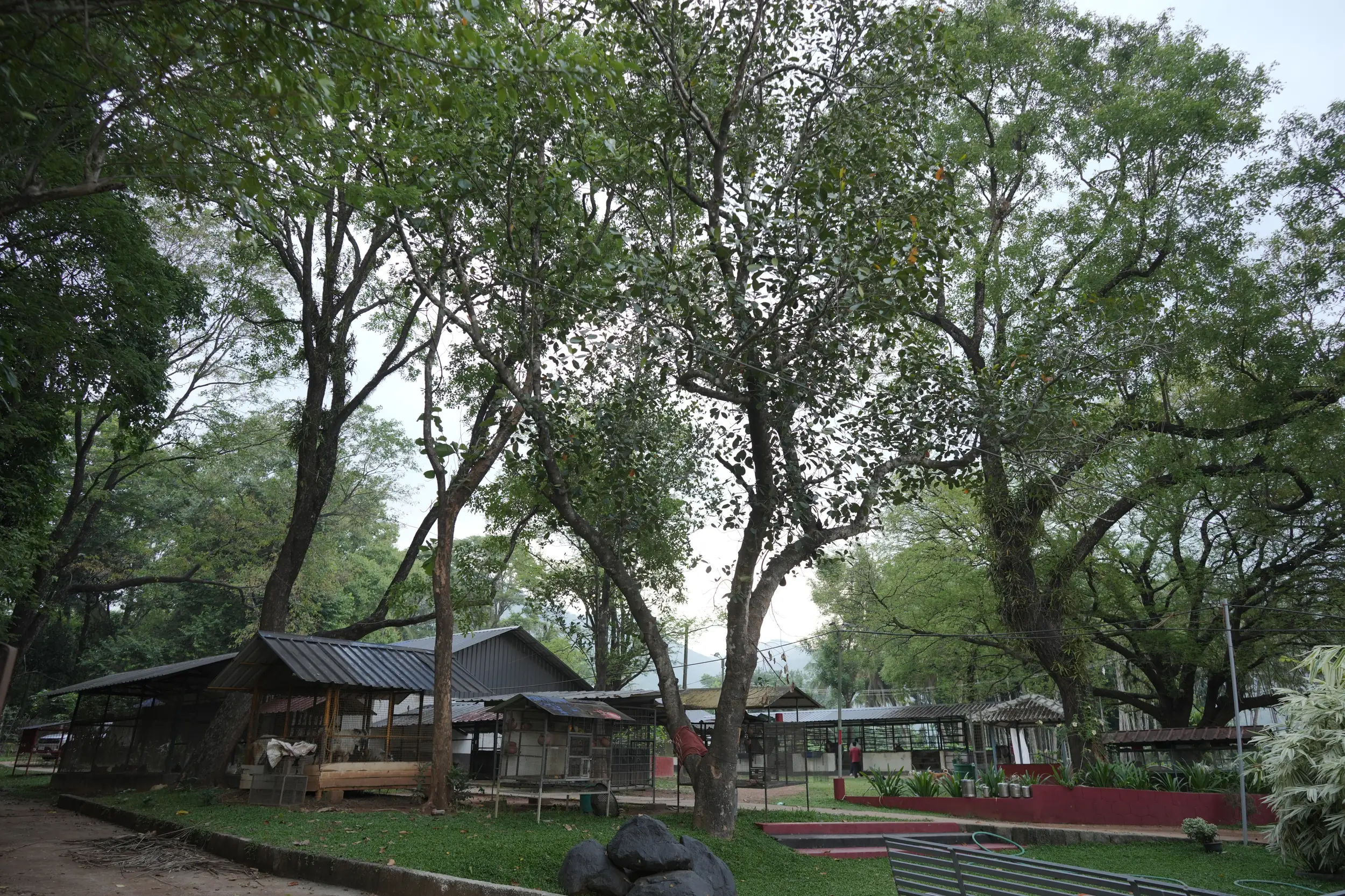 LEAD campus green landscape and farm
