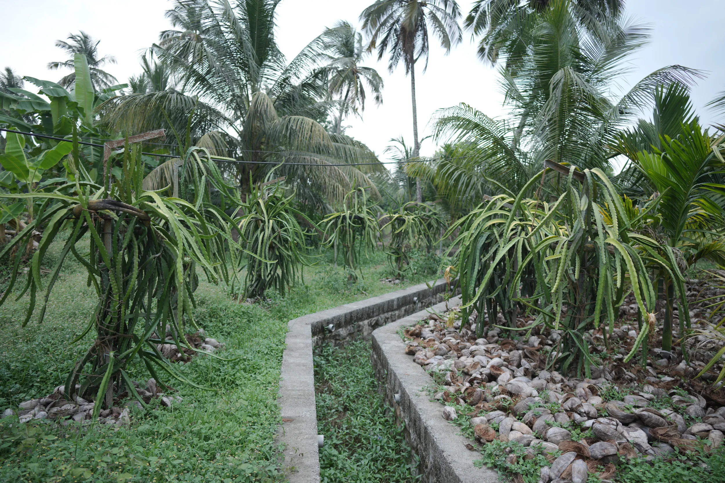 LEAD College farm and green campus