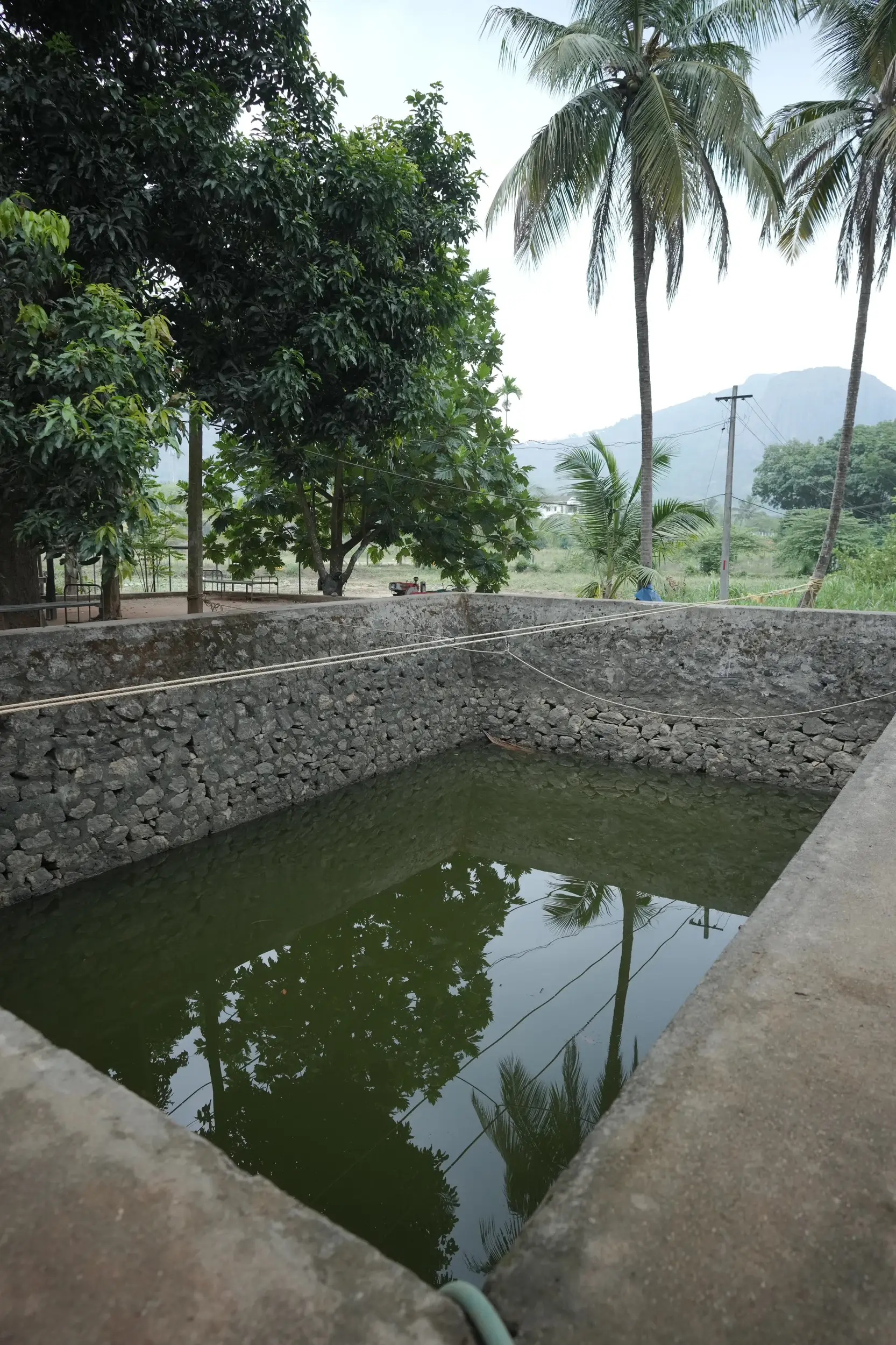 LEAD campus farm and green fields