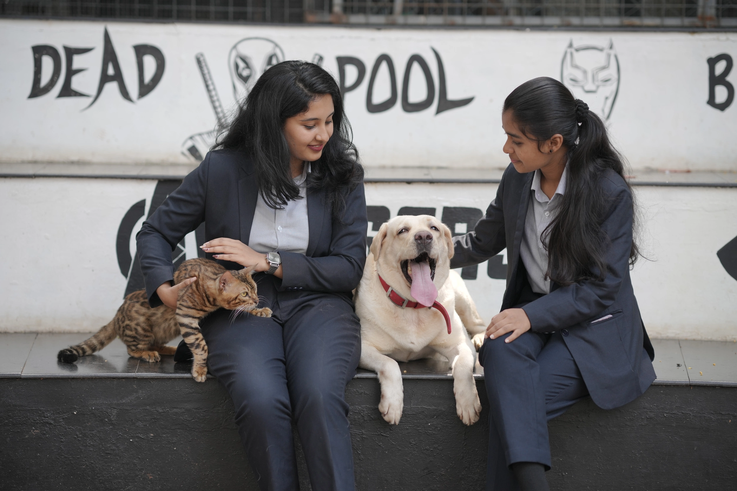 Animals at LEAD College campus