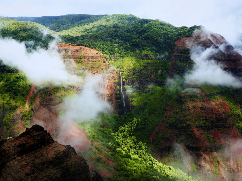 Kerala nature